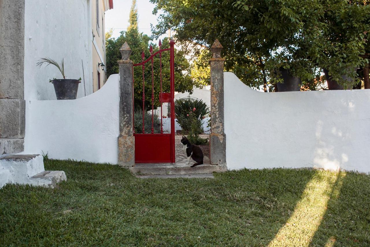 Casa Das Alfazemas Com Piscina, Jardim E Snooker Adao Lobo Exterior photo